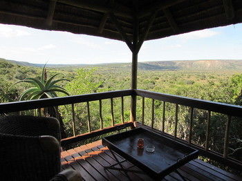 Woodbury Lodge Amakhala Game Reserve Eksteriør bilde
