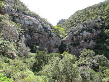 Woodbury Lodge Amakhala Game Reserve Eksteriør bilde